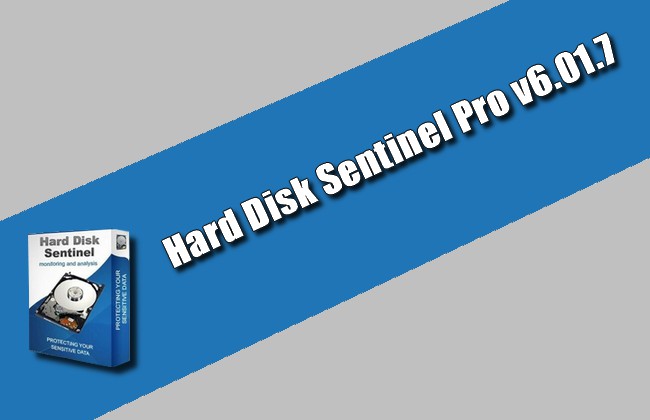 Hard Disk Sentinel Pro v6.01.7 Torrent