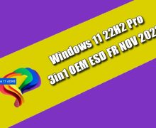 Windows 11 22H2 Pro 3in1 fr Torrent