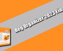 Reg Organizer 2023 Final Torrent