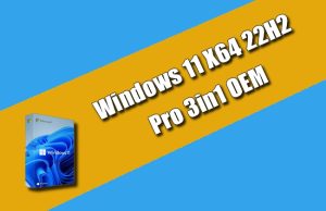 Windows 11 X64 22H2 Pro 3in1 OEM Torrent