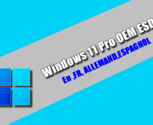 Windows 11 Pro OEM ESD Torrent