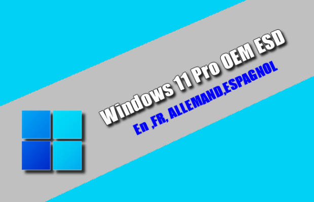 Windows 11 Pro OEM ESD Torrent