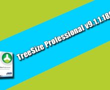 TreeSize Professional v9.1.1.1869 Torrent