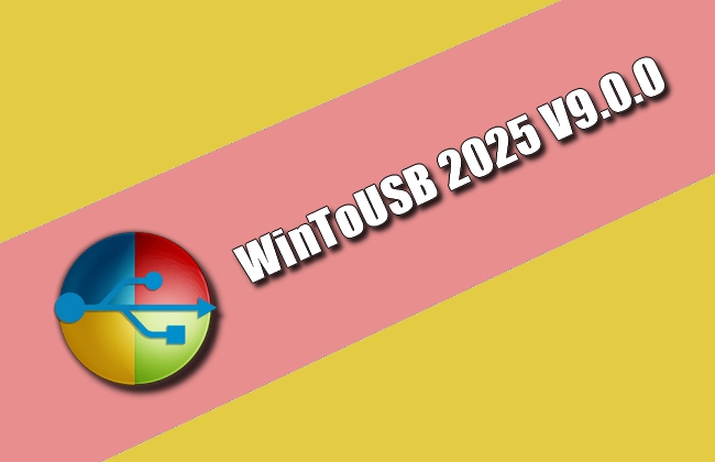 WinToUSB 2025 Torrent