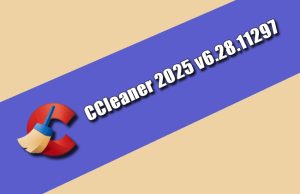 CCleaner 2025 v6.28.11297 Torrent