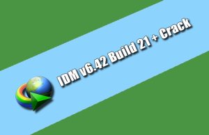 IDM v6.42 Build 21 + Crack